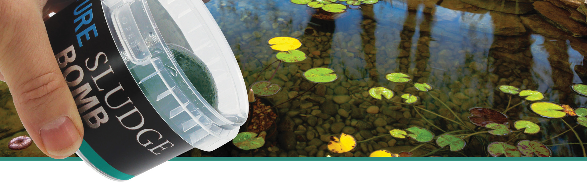 Pure Aquarium Waste Remover
